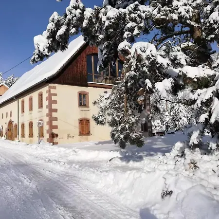 Au Bois Dormant 15 Personnes Holiday home Lapoutroie