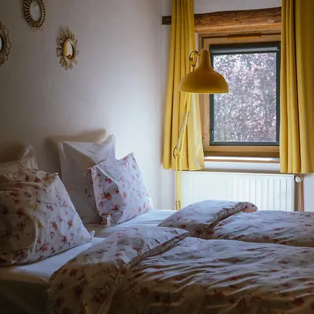 Au Bois Dormant 15 Personnes 別荘 ラプートロワ