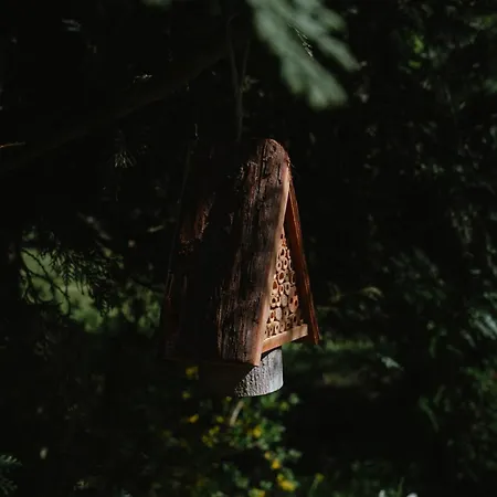 Au Bois Dormant 15 Personnes Hébergement de vacances