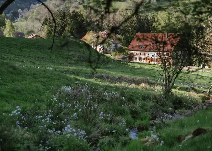 Vakantiehuis Au Bois Dormant 15 Personnes Lapoutroie